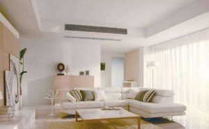 中央深夜福利电影全品牌選購攻略